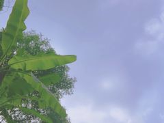 -重庆海昌加勒比海水世界