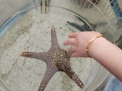 -上海海洋水族馆