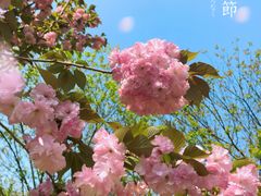 -长沙恒大文化旅游城