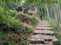 -杨家堂村
