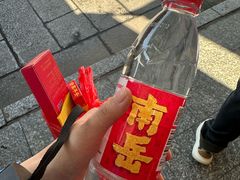 -南岳大庙