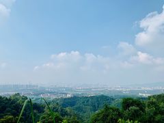-火炉山森林公园