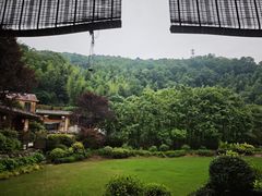 -长沙黑麋峰国家森林公园