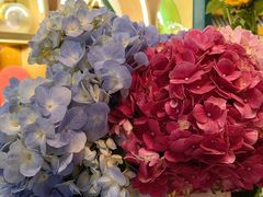 -BoBloom花店(晶耀前滩店)