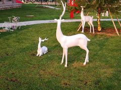 -龙口南山旅游景区