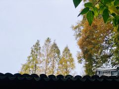 -汇龙潭