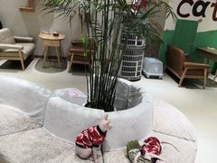 -藏猫猫咖啡主题馆(中央大道店)