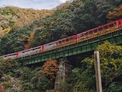 -岚山嵯峨野观光小火车