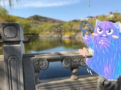 -北宫国家森林公园