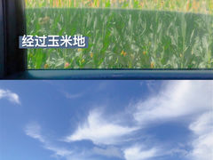 -可心烤鱼