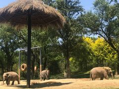 -北京野生动物园