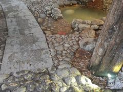 -三江森林温泉度假区