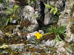 -国家植物园南园