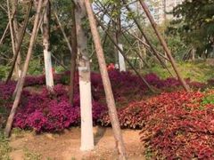 -回龙观体育文化公园