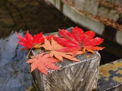 -本溪老边沟风景区