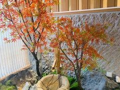 -松子料理(华威桥店)