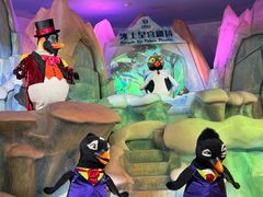 -帝企鹅自助餐厅•儿童岛•真企鹅(长隆企鹅酒店)