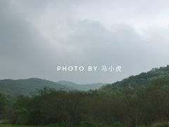 景点-嵩山少林文化旅游景区