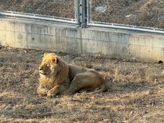-石家庄市动物园