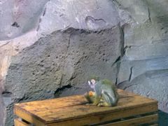 -洛阳龙门海洋馆