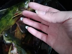 -北京清河镇农副产品交易市场中心