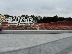 -上海鲜花港