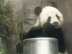 -香港海洋公园