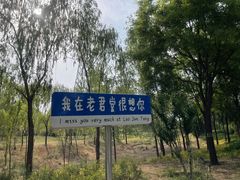 -老君堂公园