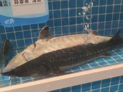 -钵家大院(大花岭店)
