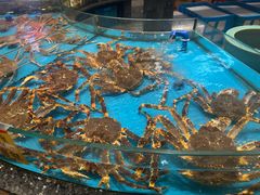 -舌尖上·霞浦滩涂海鲜·新闽菜(总店)