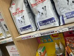 -中农大我爱我爱24h动物医院·中医针灸·猫专科·骨科医疗中心(双井店)