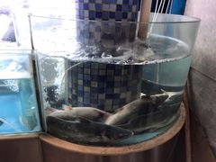 -鑫巴蜀(和平里店)