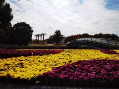 -上海月湖雕塑公园
