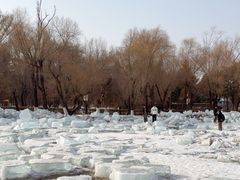 -长春市南湖公园