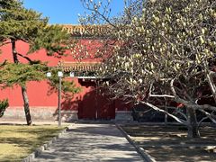 -北京市劳动人民文化宫(太庙)