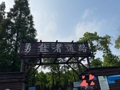 -上海滨江森林公园