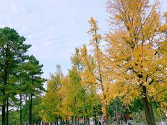 -美兰湖景区