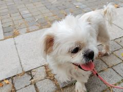 -天津前进宠物医院(前进道店)