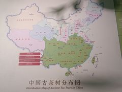 -中国茶叶博物馆(双峰馆区)