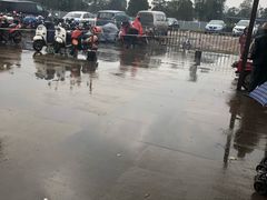 -秀丽东方