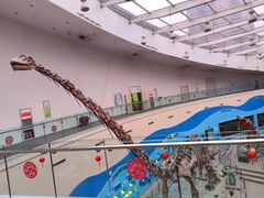 -陕西自然博物馆