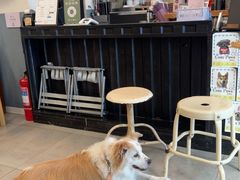-Tequila Espresso(嘉善路店)