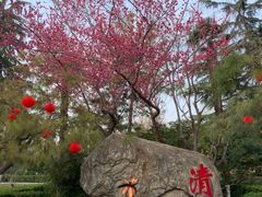 -莲湖公园