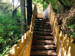 -怀托摩萤火虫洞