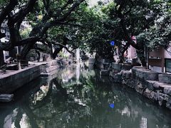 -小洲村