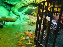 -酷嗒动物文化乐园(cutezoo西溪乐天城店)