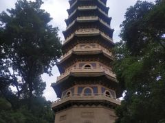 -灵谷景区