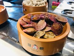 -龍歌自助小火锅(市南金茂湾店)