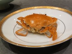 -新光酒家·河豚·海鲜·蟹料理(浦东店)
