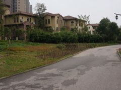 -重庆彩云湖湿地公园